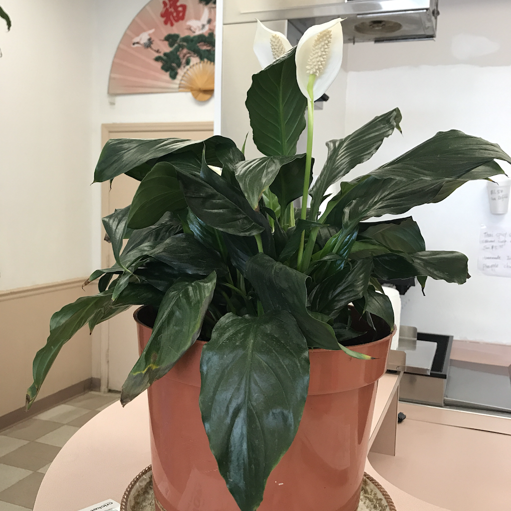 China Express | restaurant | 3055 Waughtown St, Winston-Salem, NC 27107, USA | 3366500068 OR +1 336-650-0068