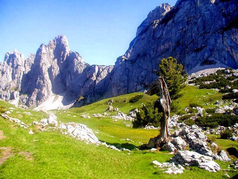 HikingThe Alps.com | restaurant | 1536 W 25th St, San Pedro, CA 90732, USA | 9496896081 OR +1 949-689-6081