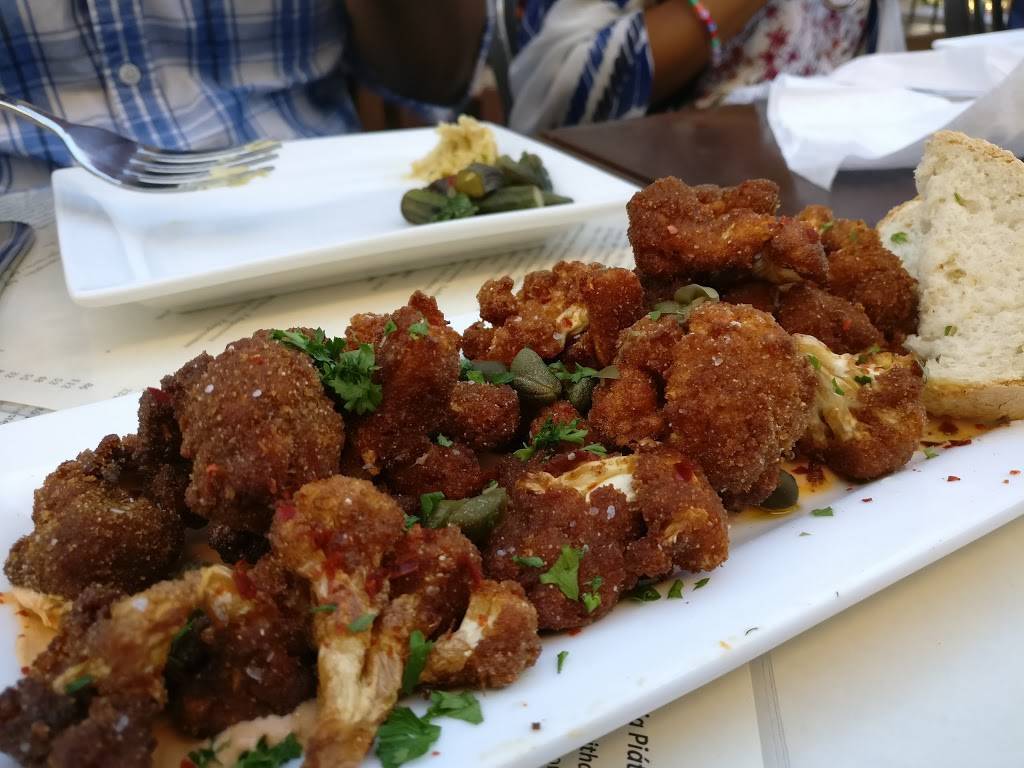 Taxim | restaurant | 1558 N Milwaukee Ave, Chicago, IL 60622, USA | 7732521558 OR +1 773-252-1558