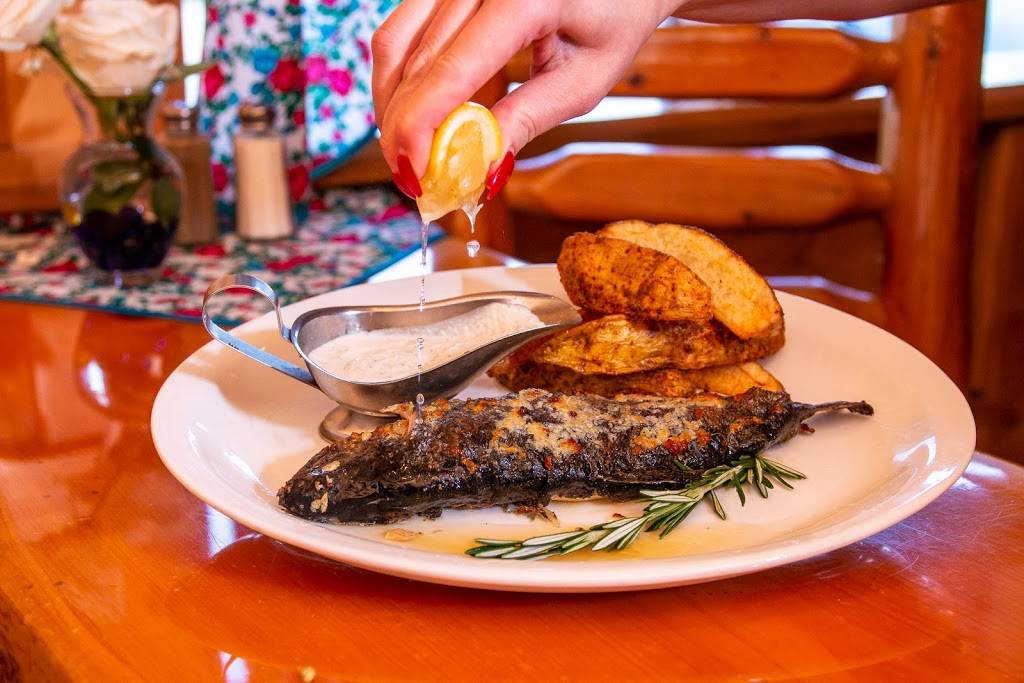 U Gazdy Polish Restaurant | restaurant | 270 W Irving Park Rd, Wood Dale, IL 60191, USA | 6306945840 OR +1 630-694-5840