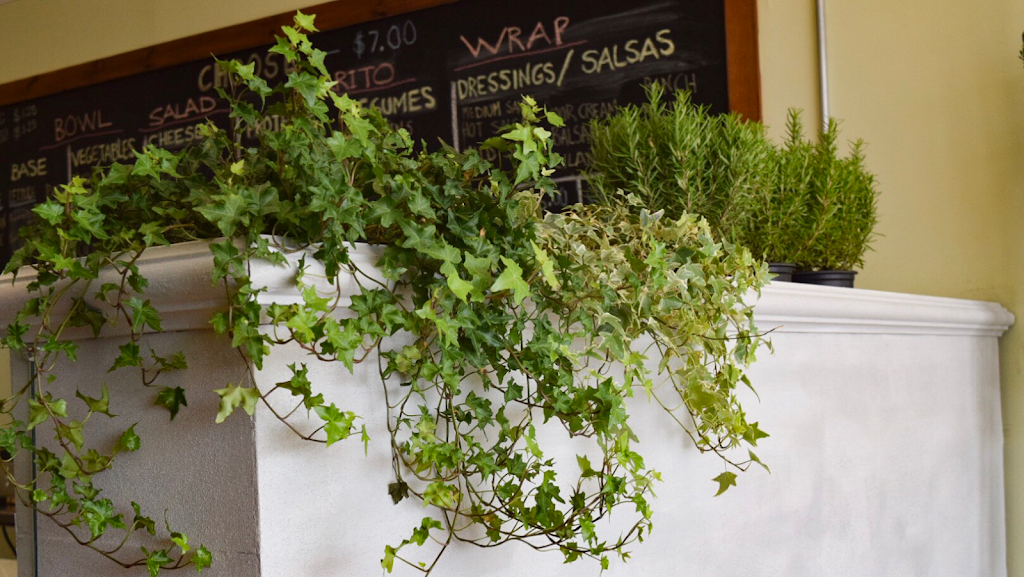 Verdant Cafe | restaurant | 600 Warwick Rd Unit 6, Hi-Nella, NJ 08083, USA | 8563445584 OR +1 856-344-5584