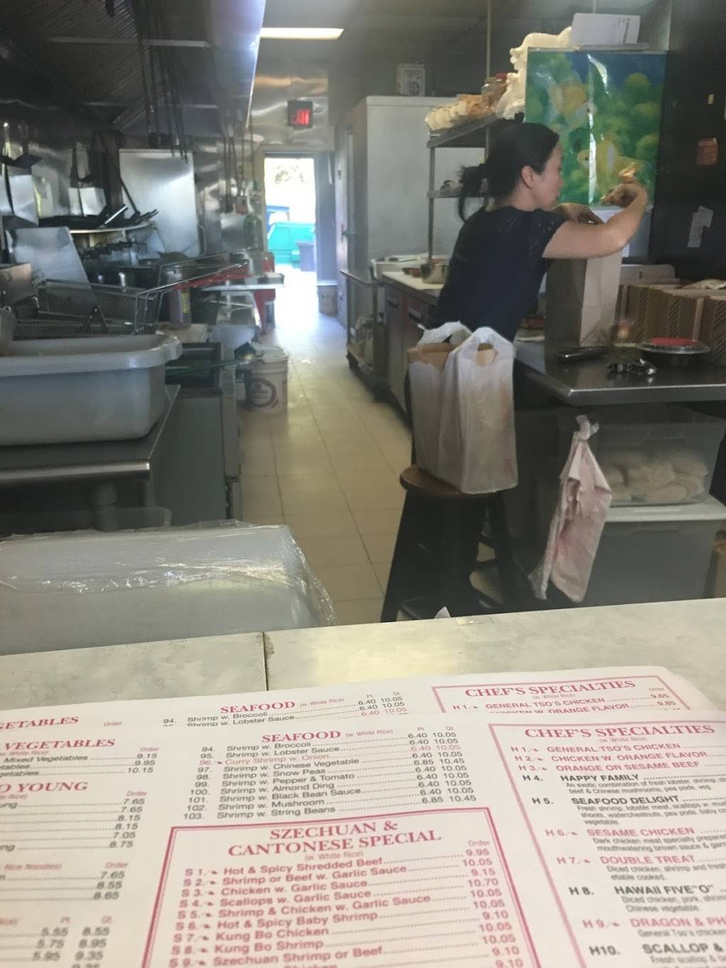 China Star Chinese Restaurant | restaurant | 4822 Hollins Rd, Roanoke, VA 24019, USA | 5403663888 OR +1 540-366-3888