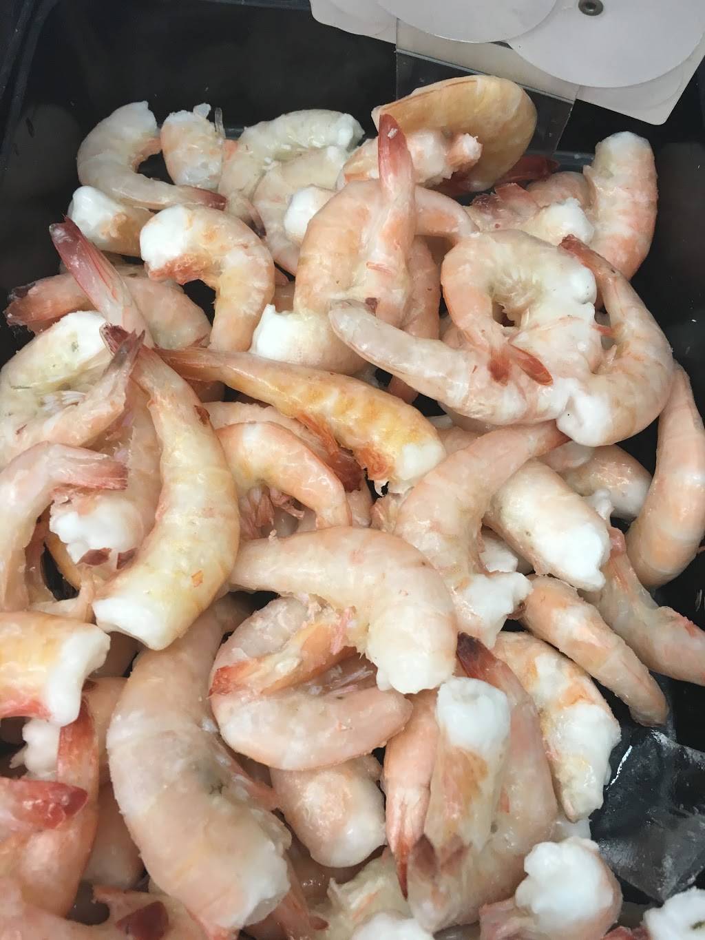 Key West Shrimp Co, Madeira Beach | restaurant | 215 150th Ave, Madeira Beach, FL 33708, USA | 7275921885 OR +1 727-592-1885