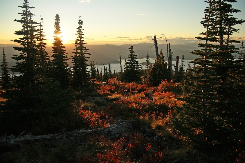 Cavanaughs Priest Lake | restaurant | 40 Vacation Ct, Coolin, ID 83821, USA | 2084432095 OR +1 208-443-2095
