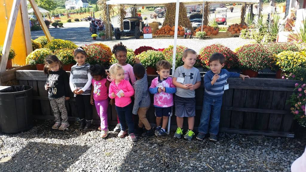 Roses Berry Farm | restaurant | 295 Matson Hill Rd, South Glastonbury, CT 06073, USA | 8606337467 OR +1 860-633-7467