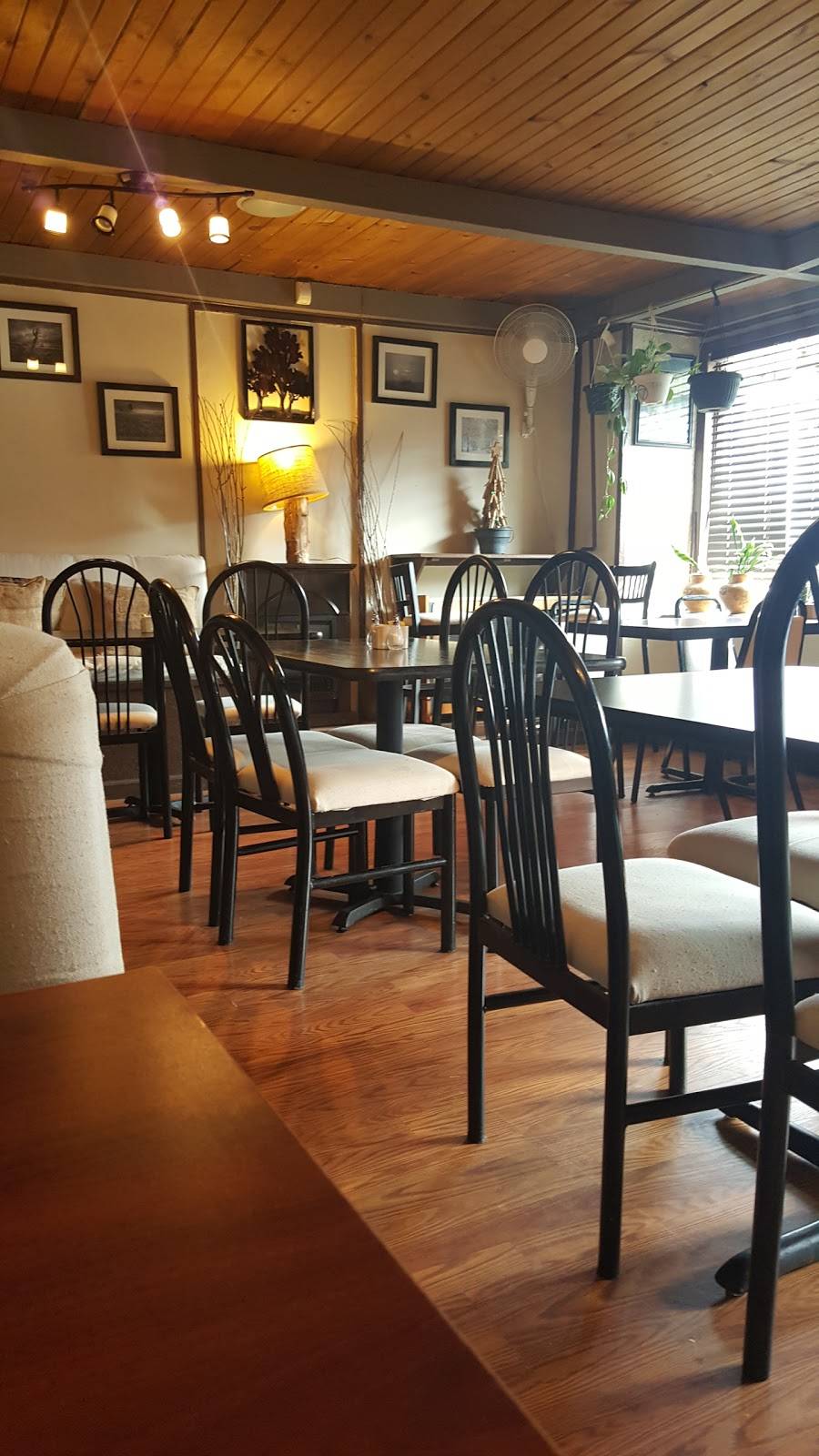 Earth Bistro Cafe | restaurant | 11110 Clifton Blvd, Cleveland, OH 44102, USA | 2162019338 OR +1 216-201-9338