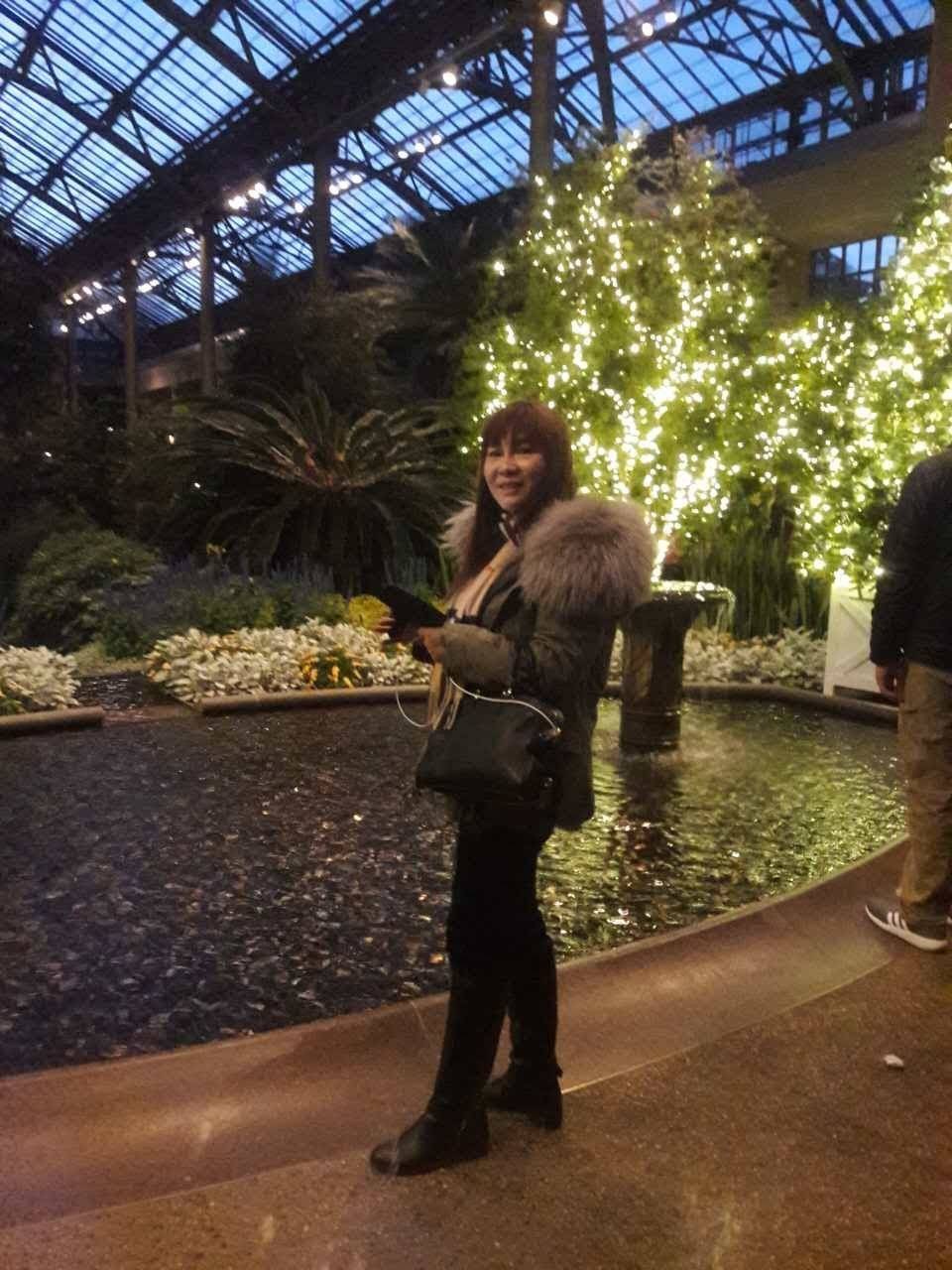 Romance | restaurant | 163 Van Pelt Ave, Staten Island, NY 10303, USA | 7188164844 OR +1 718-816-4844