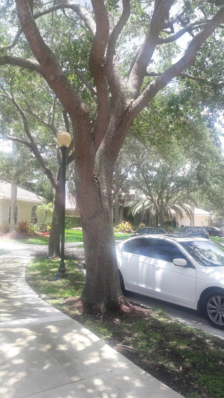 GLL Solutions Inc | restaurant | 1622 Island Way, Weston, FL 33326, USA | 9543896255 OR +1 954-389-6255