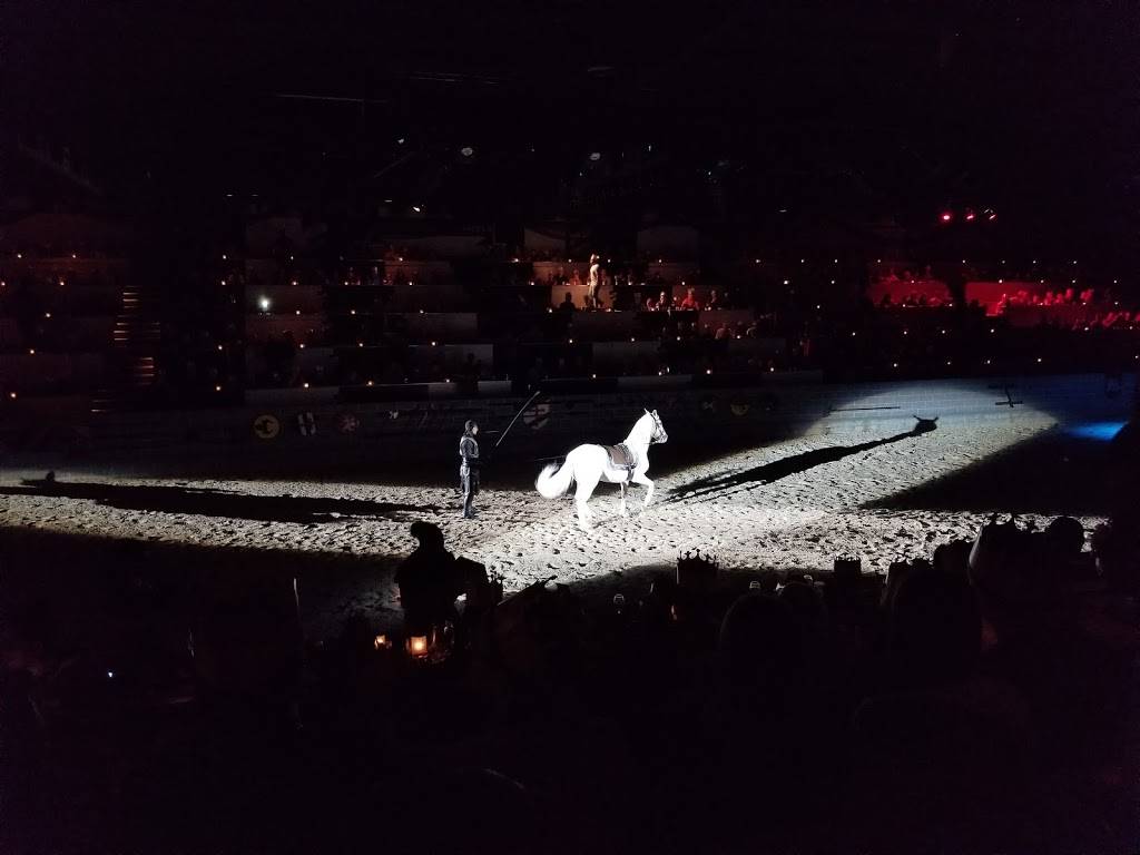 Medieval Times Dinner & Tournament | restaurant | 4510 W Vine St, Kissimmee, FL 34746, USA | 4073962900 OR +1 407-396-2900