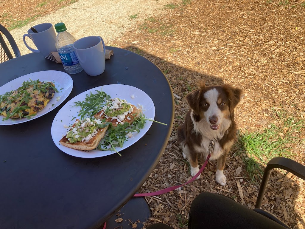 Clover Cafe | restaurant | 13623 Rices Crossing Rd, Oregon House, CA 95962, USA | 5304418461 OR +1 530-441-8461