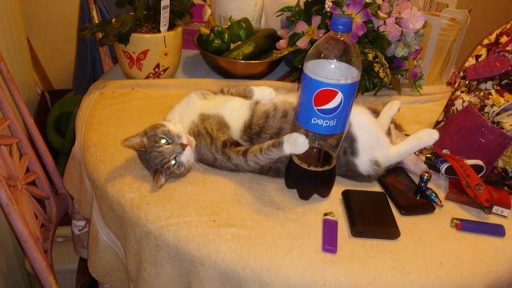 Auntie Annes | cafe | 771 S 30th St, Heath, OH 43056, USA | 7405220669 OR +1 740-522-0669