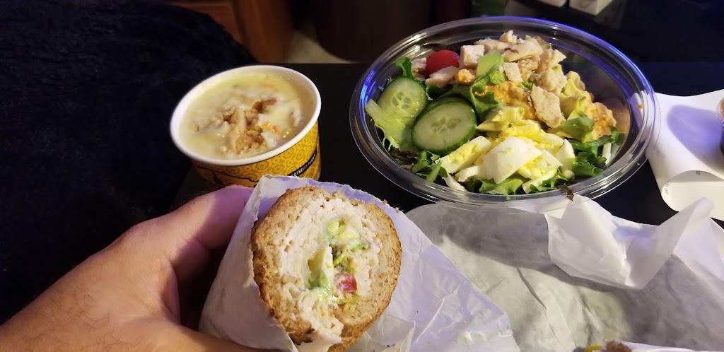 Potbelly Sandwich Shop | restaurant | 4738 N Dale Mabry Hwy, Tampa, FL 33614, USA | 8134617888 OR +1 813-461-7888