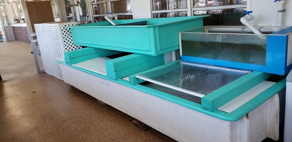 The Clam Bar | restaurant | 172 Plaistow Rd, Plaistow, NH 03865, USA | 6039742215 OR +1 603-974-2215