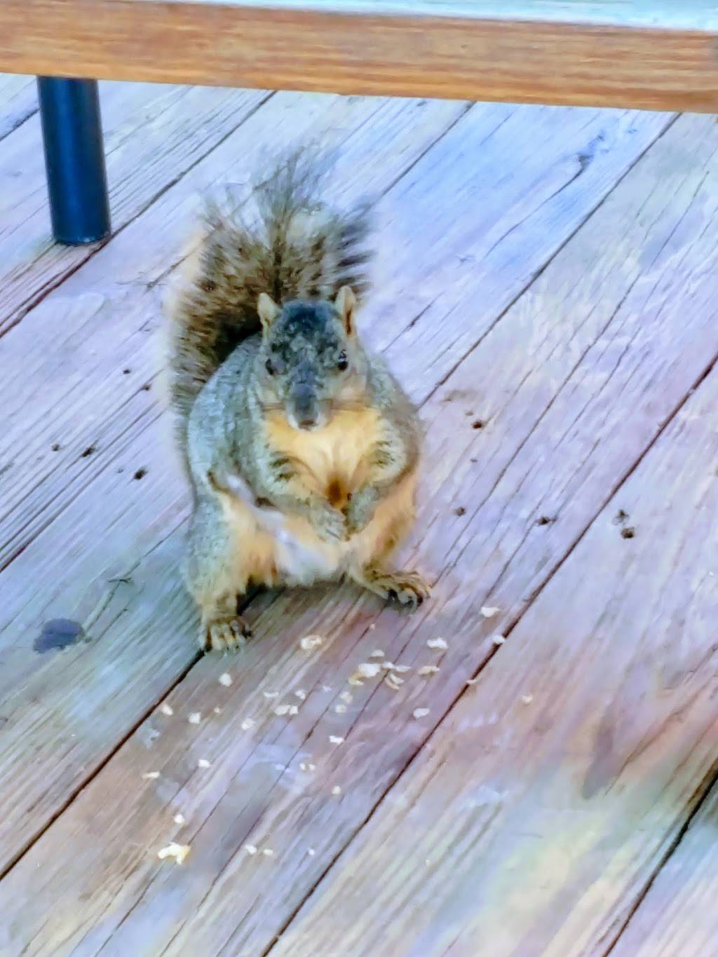 Capt. Bennys Seafood | restaurant | 8253 Gulf Fwy, Houston, TX 77017, USA | 7136430589 OR +1 713-643-0589