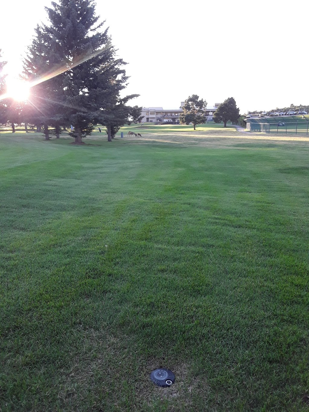 Hillcrest Golf Club | restaurant | 2300 Rim Dr, Durango, CO 81301, USA | 9702471499 OR +1 970-247-1499