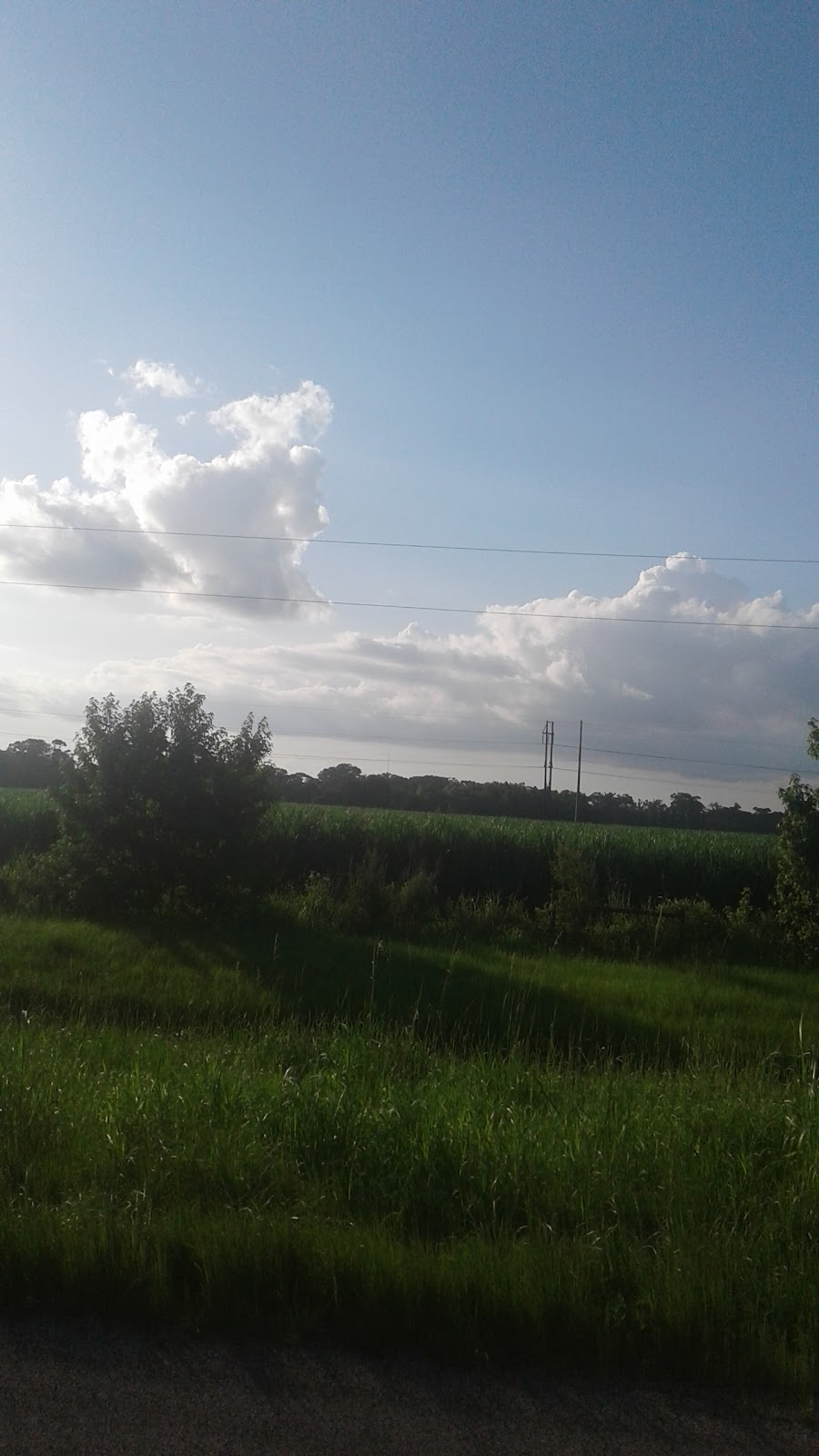 Shell | restaurant | 2232 Rees St Ext, Breaux Bridge, LA 70517, USA | 3373320092 OR +1 337-332-0092