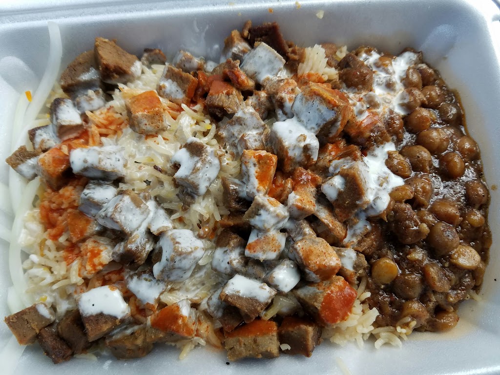 Metro Halal Food Cart | restaurant | 4201 Wilson Blvd, Arlington, VA 22203, USA | 7036240212 OR +1 703-624-0212