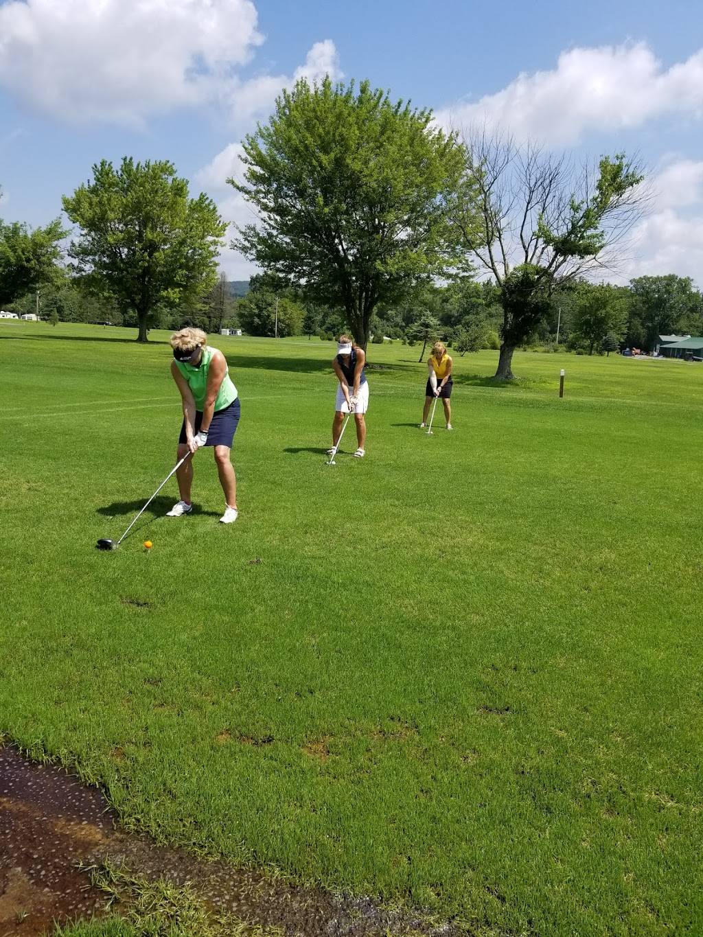 Down River Golf and Country Club | restaurant | 134 Rivers Bend Dr, Everett, PA 15537, USA | 8146525193 OR +1 814-652-5193