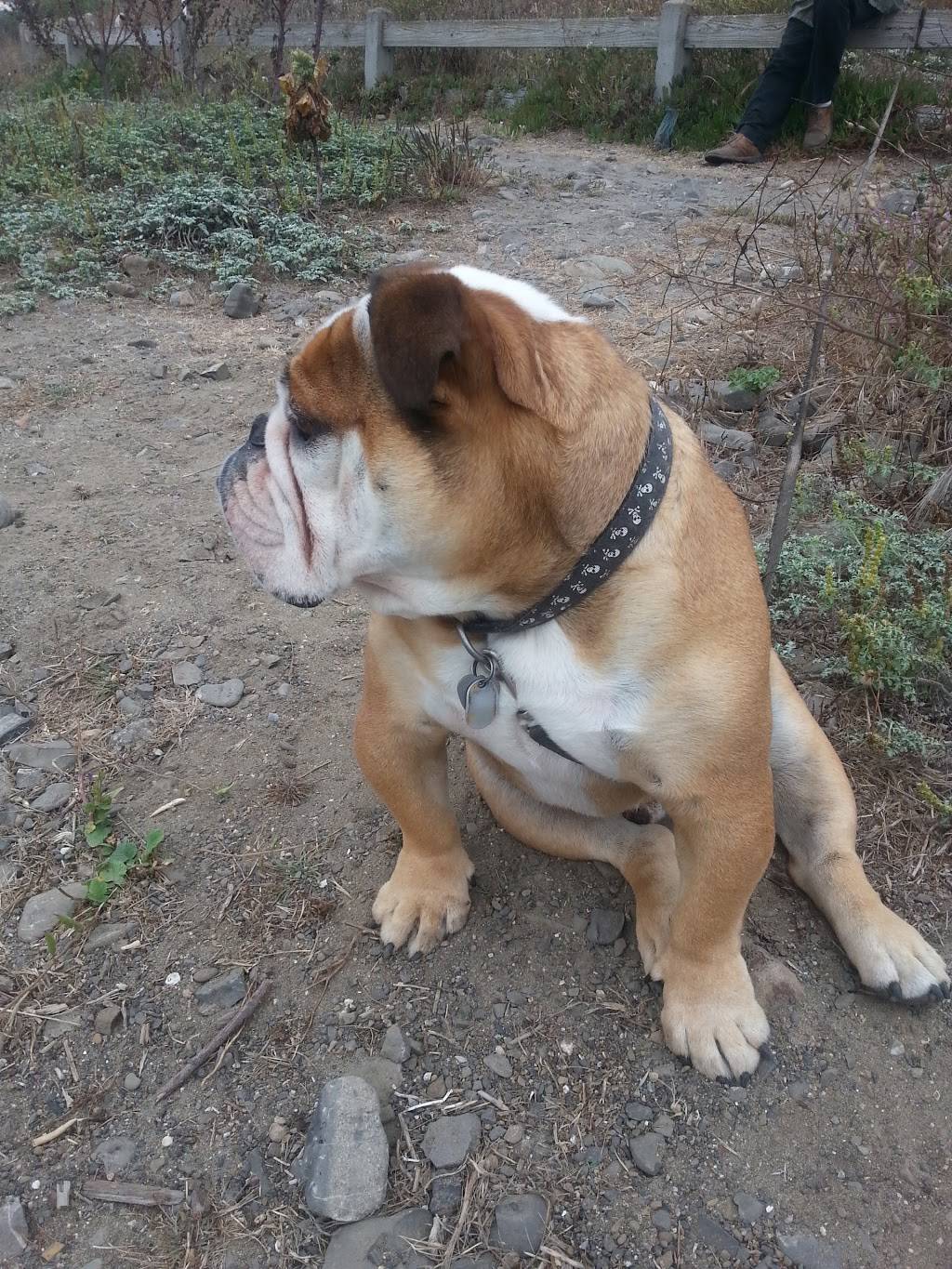 La Playa | restaurant | 5460 CA-1, Pacifica, CA 94044, USA | 6507382247 OR +1 650-738-2247