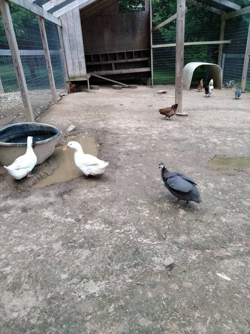 Spring Meadow Station | restaurant | 15513 Hanover Pike, Upperco, MD 21155, USA | 4108337826 OR +1 410-833-7826