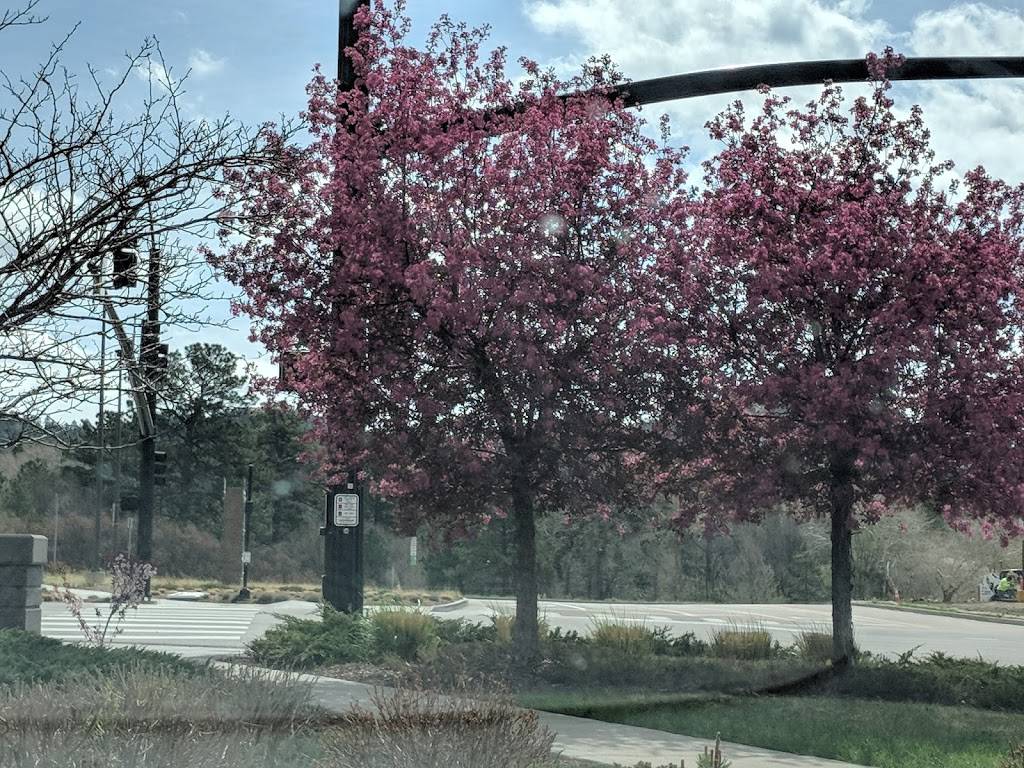 Starbucks | cafe | 5070 N Nevada Ave, Colorado Springs, CO 80918, USA | 7195980835 OR +1 719-598-0835