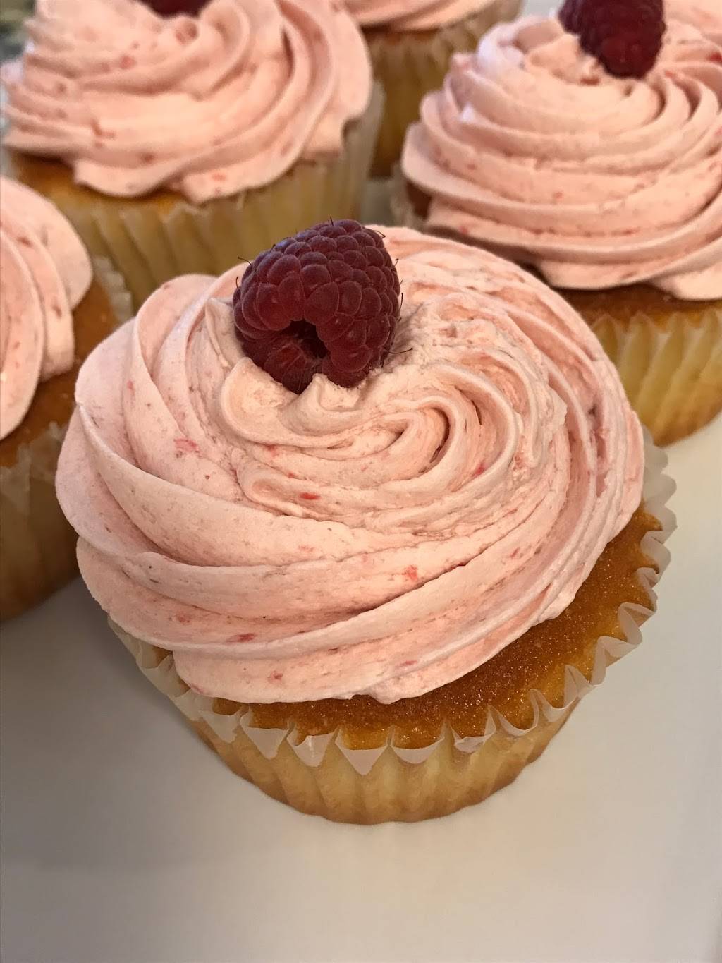 True North Coffee Cafe Inc | bakery | 204 Cambridge St, Burlington, MA 01803, USA | 7812292330 OR +1 781-229-2330