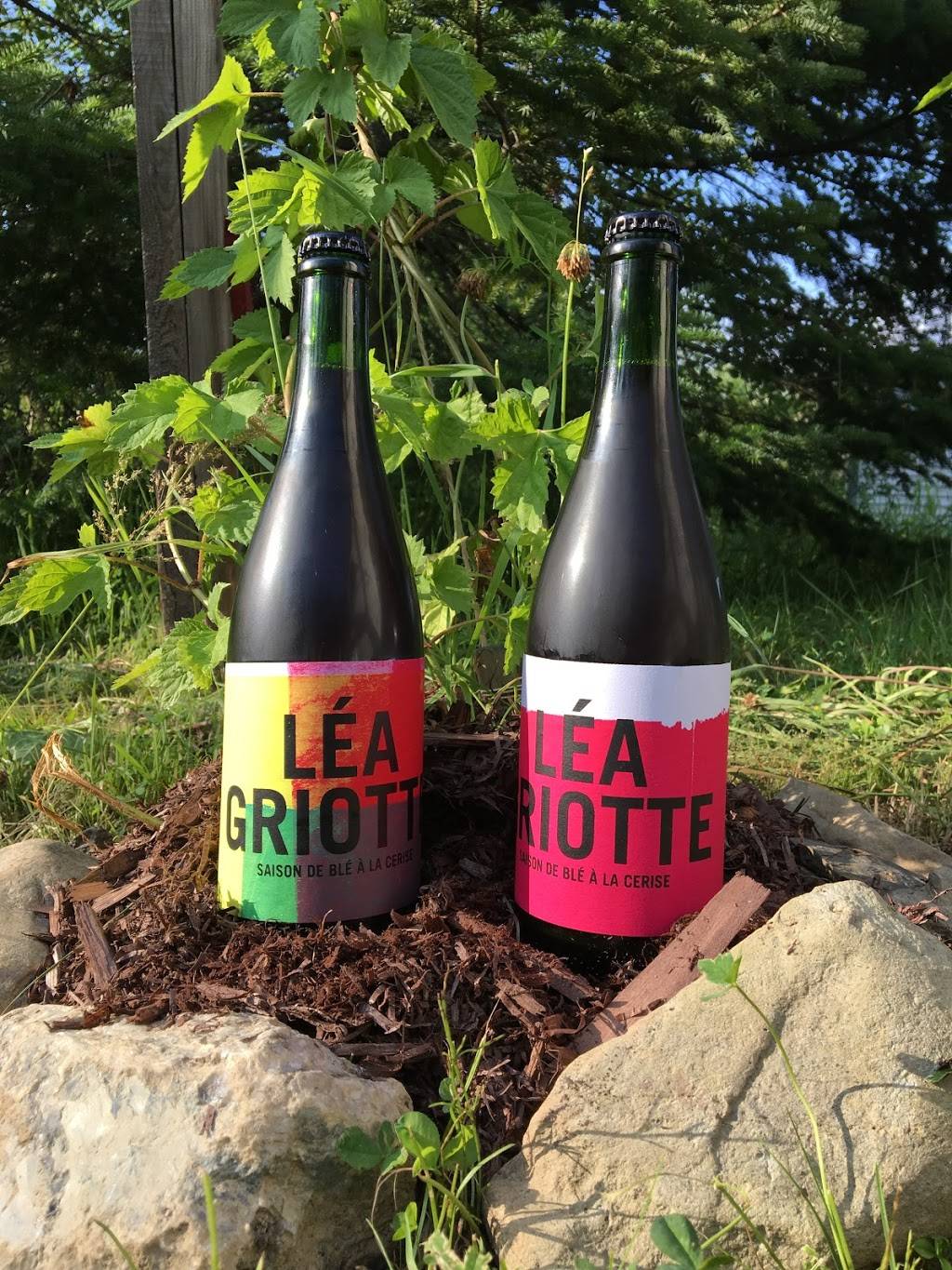 Robin Bière Naturelle | restaurant | 6547 Rue Foster, Waterloo, QC J0E 2N0, Canada | 4509121745 OR +1 450-912-1745