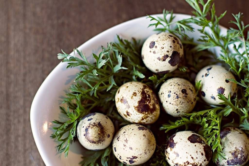 Miel Restaurant | restaurant | 343 53rd Ave N, Nashville, TN 37209, USA | 6152983663 OR +1 615-298-3663