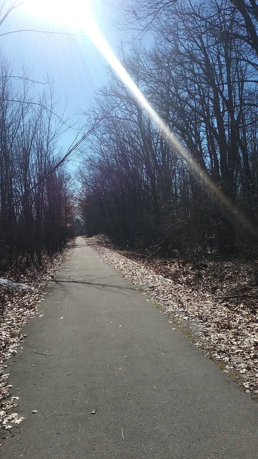 Jimmy Johns | meal delivery | 6842 S Rochester Rd, Troy, MI 48085, USA | 2488790369 OR +1 248-879-0369