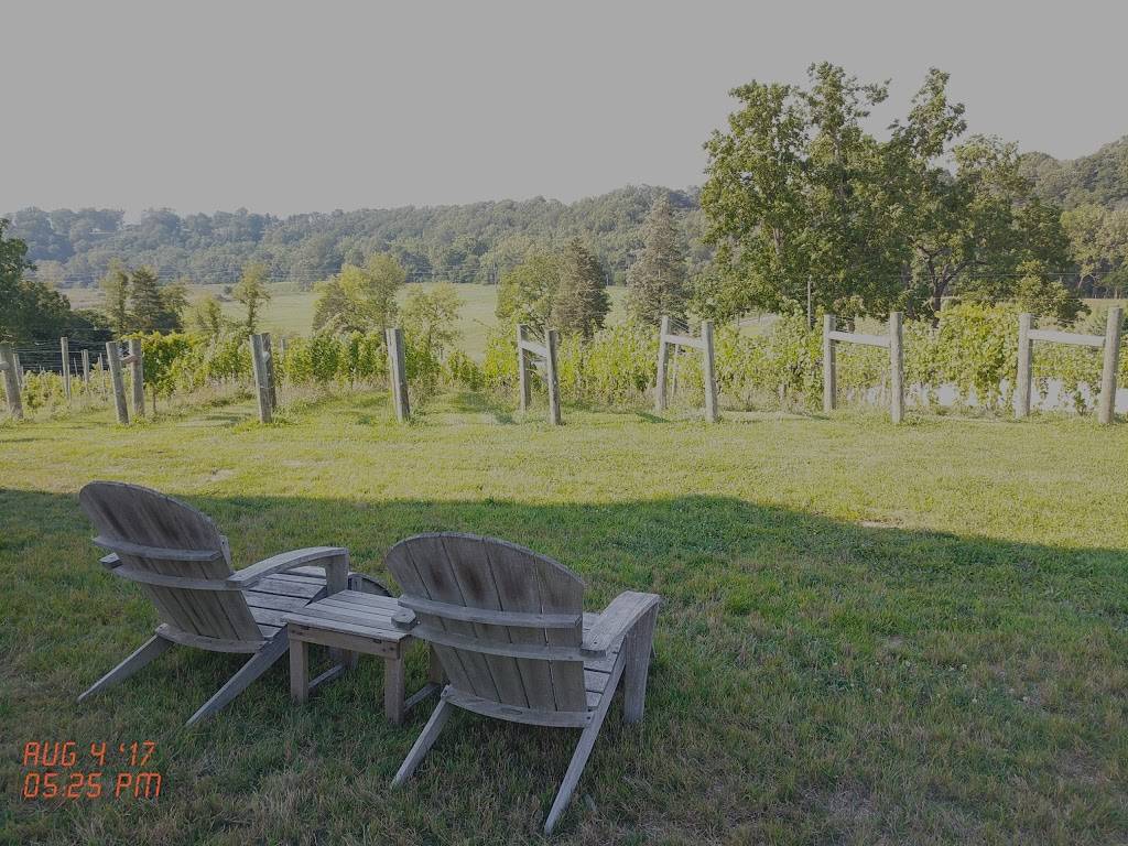 Muse Vineyards | restaurant | 16 Serendipity Ln, Woodstock, VA 22664, USA | 5404597033 OR +1 540-459-7033