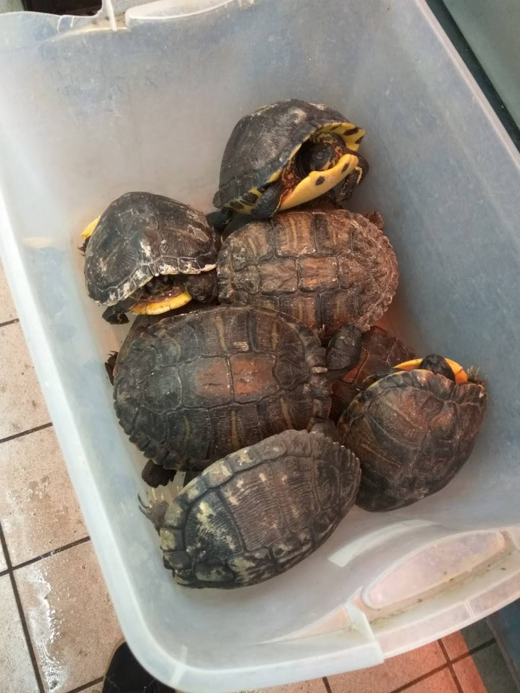 Bay Parkway Cafe | restaurant | 6812 Bay Pkwy, Brooklyn, NY 11204, USA | 7182328008 OR +1 718-232-8008