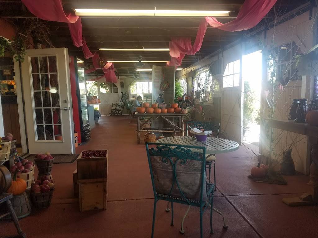 Red Barn Cafe & Pie Shop | restaurant | Hammonton Assembly of God, 272 US-206, Hammonton, NJ 08037, USA | 6095673412 OR +1 609-567-3412