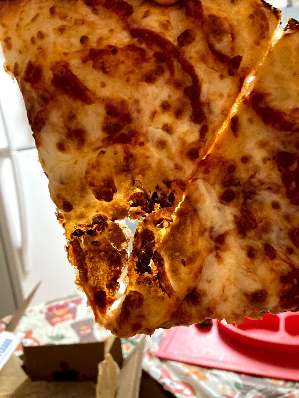 Dominos Pizza | meal delivery | 1001 E 9 Mile Rd, Pensacola, FL 32514, USA | 8504783030 OR +1 850-478-3030