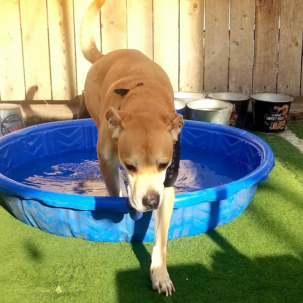 The Watering Bowl | restaurant | 5411 Leetsdale Dr, Denver, CO 80246, USA | 3035919069 OR +1 303-591-9069