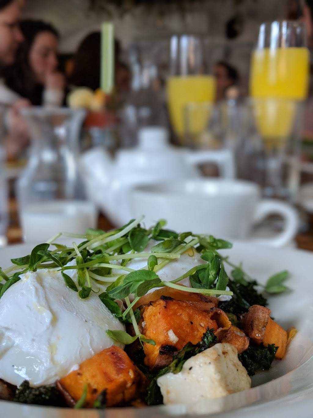 The Prairie Whale | restaurant | 178 Main St, Great Barrington, MA 01230, USA | 4135285050 OR +1 413-528-5050