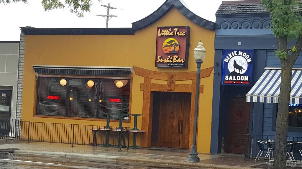 Little Tree Sushi Bar Inc | restaurant | 107 S Main St, Royal Oak, MI 48067, USA | 2485860994 OR +1 248-586-0994