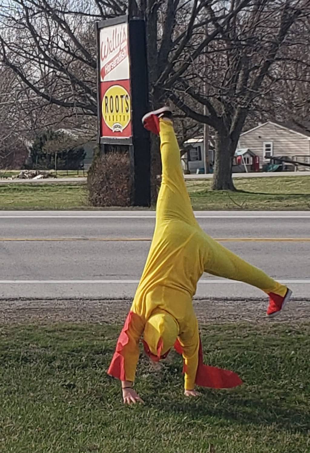 Silver Top Sports Bar & Grill | restaurant | 3939 N, OH-53, Fremont, OH 43420, USA | 4193349250 OR +1 419-334-9250