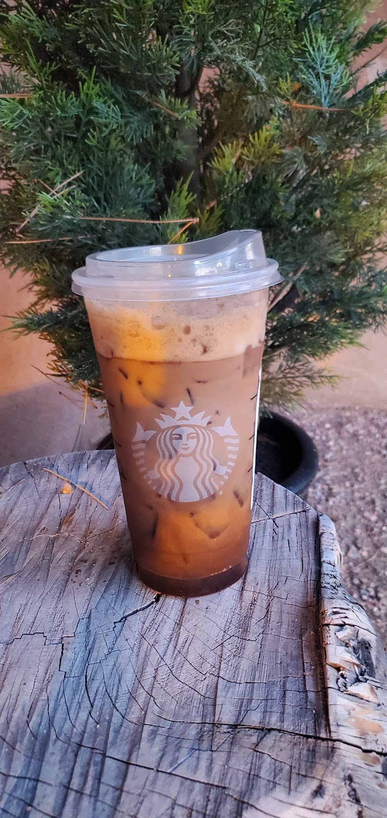 Starbucks | cafe | 1000 Rio Grande Blvd NW, Albuquerque, NM 87104, USA | 5057649201 OR +1 505-764-9201
