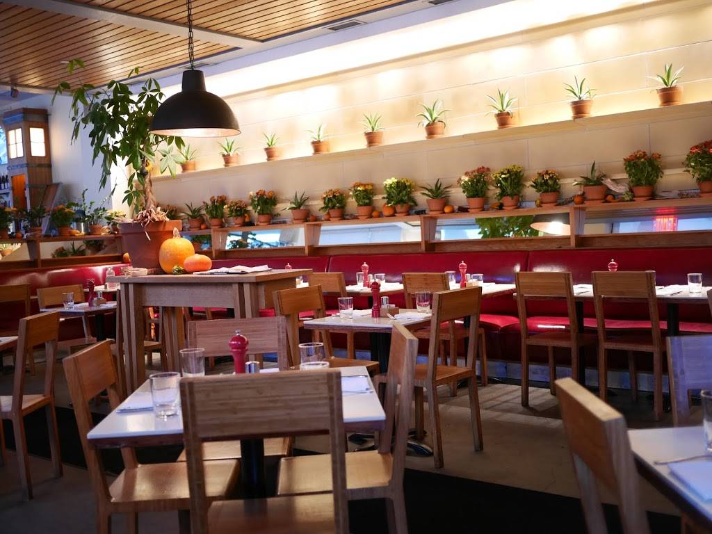 Cookshop | restaurant | 156 10th Ave, New York, NY 10011, USA | 2129244440 OR +1 212-924-4440