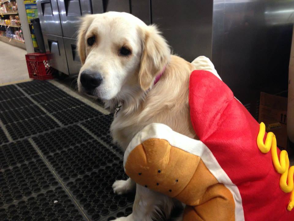 Spillers Farm Store | restaurant | 1054 Branch Rd, Wells, ME 04090, USA | 2079853383 OR +1 207-985-3383