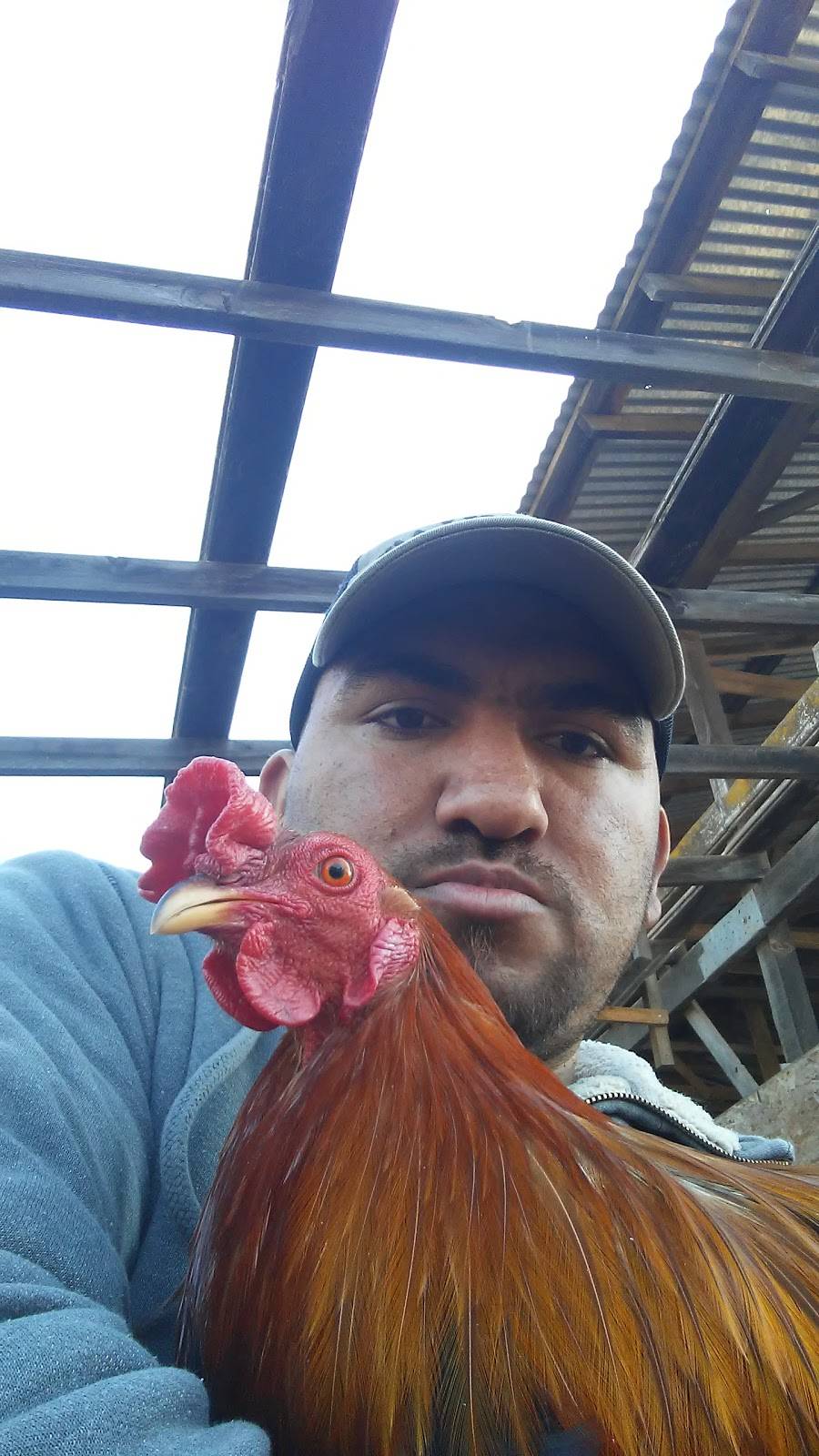 Riveras Restaurant | restaurant | 610 Tulare St, Parlier, CA 93648, USA | 5598472076 OR +1 559-847-2076