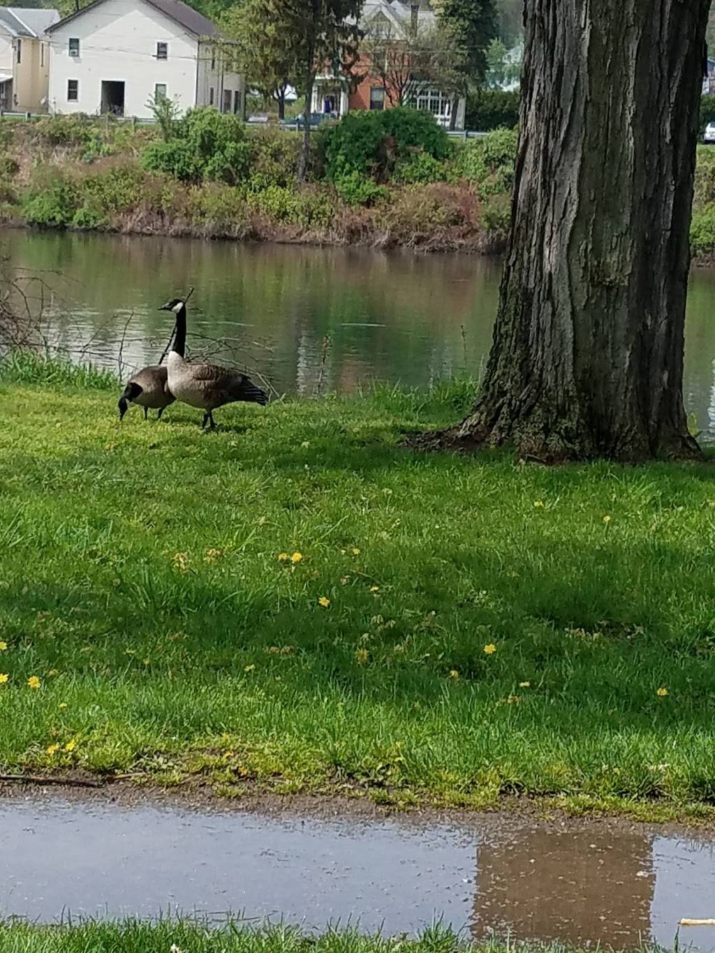 Counts Restaurant | restaurant | 910 Pennsylvania Ave W, Warren, PA 16365, USA | 8147237653 OR +1 814-723-7653