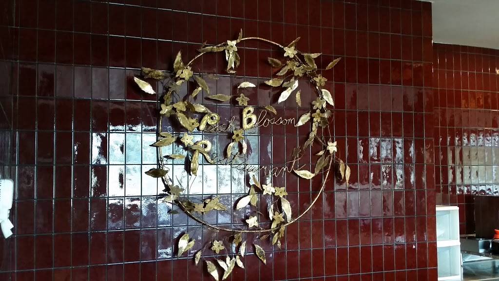 Peach Blossom Diner | restaurant | 910 Hospitality Dr, Spartanburg, SC 29303, USA | 8645784670 OR +1 864-578-4670