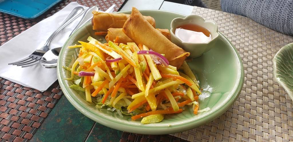 My Thai Kitchen | restaurant | 4911 Dundas St W, Etobicoke, ON M9A 1B2, Canada | 4165193356 OR +1 416-519-3356