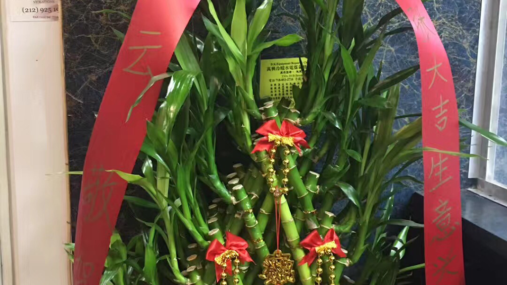 482 Joy Garden | restaurant | 482 Riverdale Ave, Brooklyn, NY 11207, USA | 7183853388 OR +1 718-385-3388