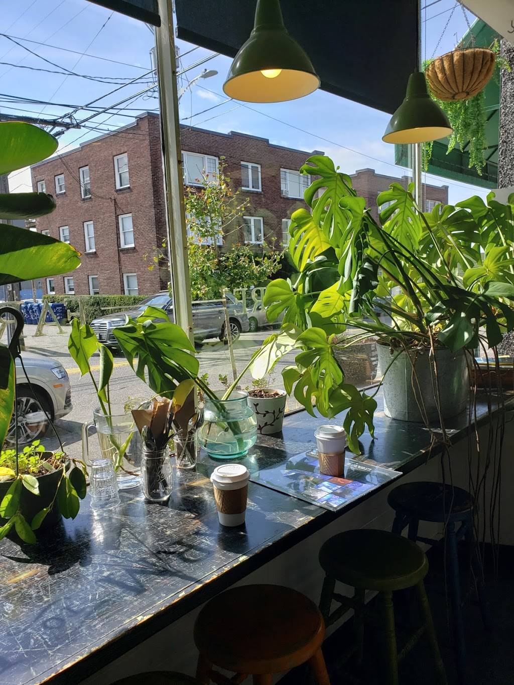 Cafe Mia | restaurant | 4310 SW Oregon St, Seattle, WA 98116, USA | 2067087891 OR +1 206-708-7891