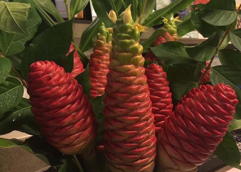 Mama Lous Restaurant | restaurant | 22288 Pine St, Robertsdale, AL 36567, USA | 2519471988 OR +1 251-947-1988