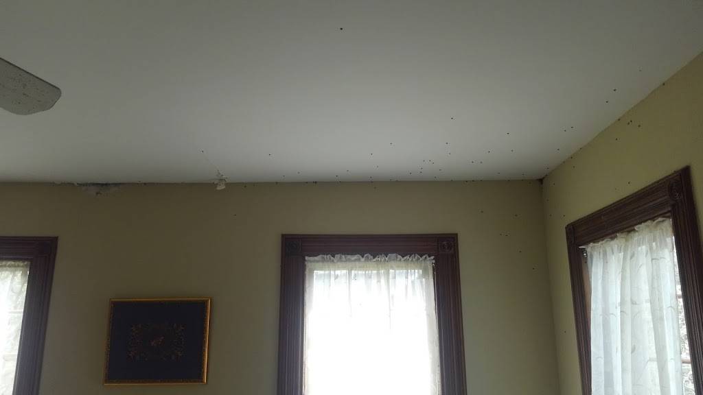 Long Eddy Hotel & Saloon | restaurant | 7 Depot St, Long Eddy, NY 12760, USA | 8458874554 OR +1 845-887-4554