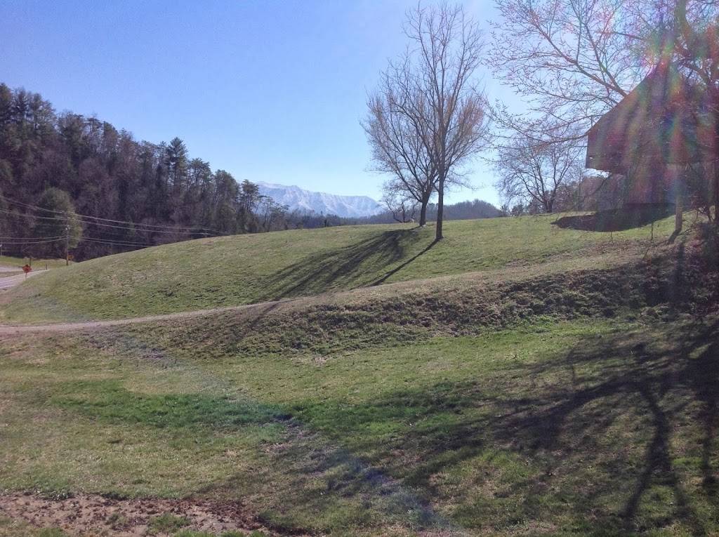 Deep South Smokehouse & Grill | restaurant | 2933 Pittman Center Rd, Sevierville, TN 37876, USA | 8657737807 OR +1 865-773-7807