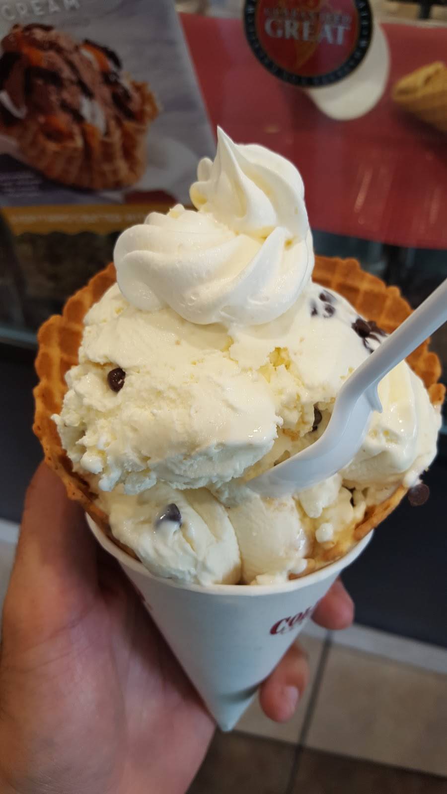 Cold Stone Creamery | bakery | 9214 Anderson Rd, Tampa, FL 33634, USA | 8138864714 OR +1 813-886-4714